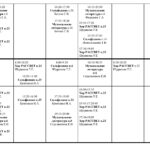 Расписание групповых занятий инструментальных отделений на 2024-2025 учебный год (бюджетное отделение)